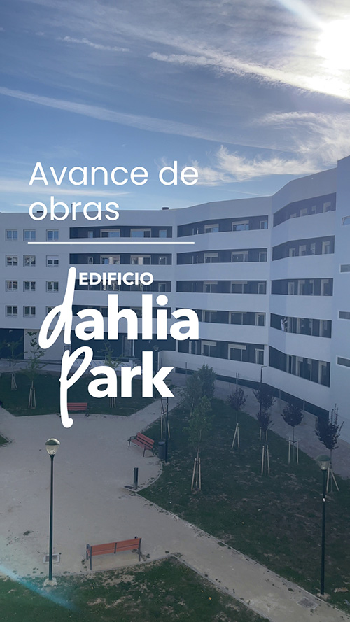 Publicación de Facebook de Grupo Lobe